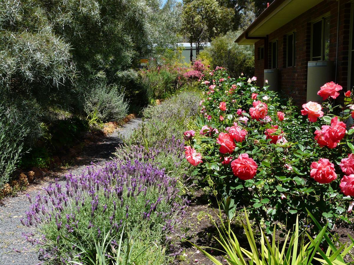 Bed & Breakfast Country Charm Retreat Donnybrook